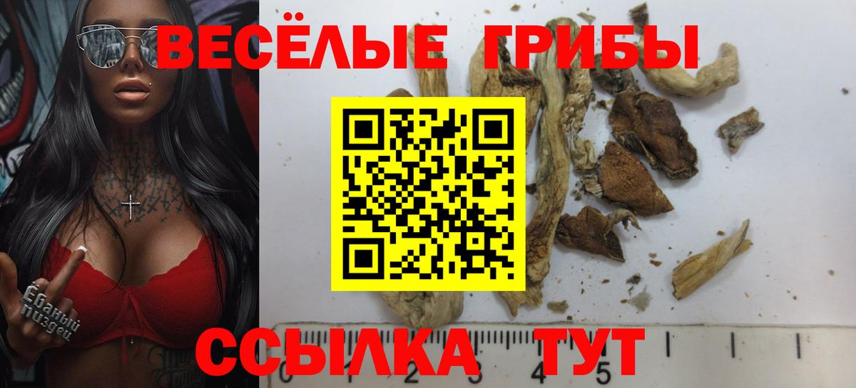 Галлюциногенные грибы мицелий Канск